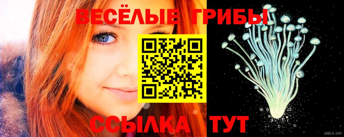 Пермь  Галлюциногенные грибы ЛСД  Вход с VPN  где найти наркотики  Псилоцибиновые грибы Cubensis 